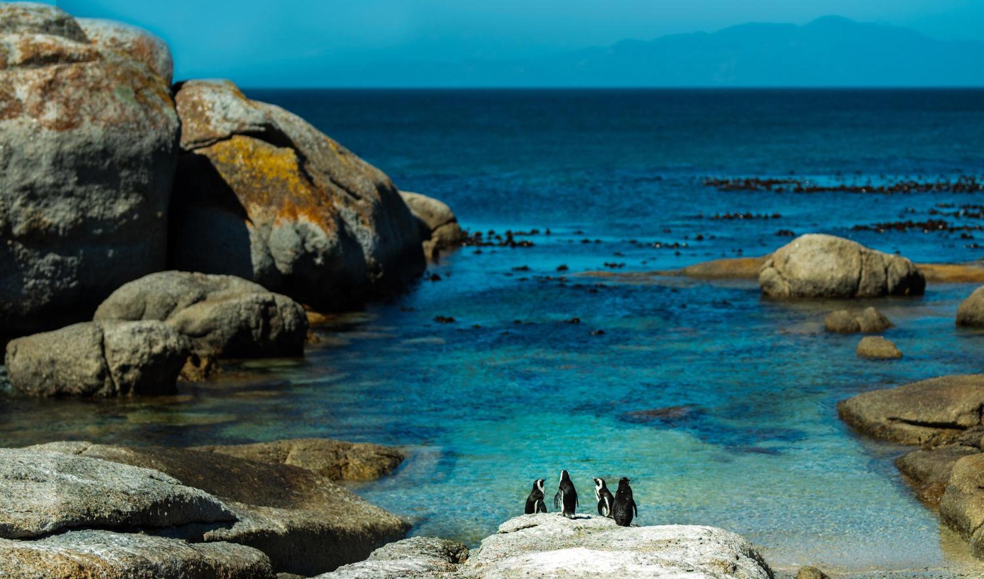 Eclectic Heritage Paradise Simon'S Town Exterior photo